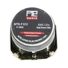 Brillos – MTE-P22G